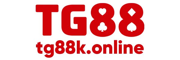 newseo