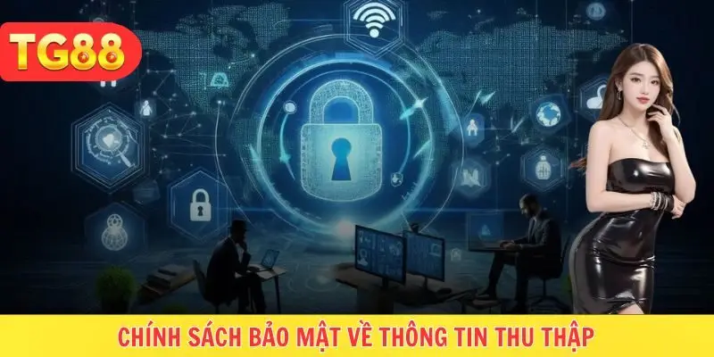 Thông tin thu thập có gì theo chính sách bảo mật TG88?